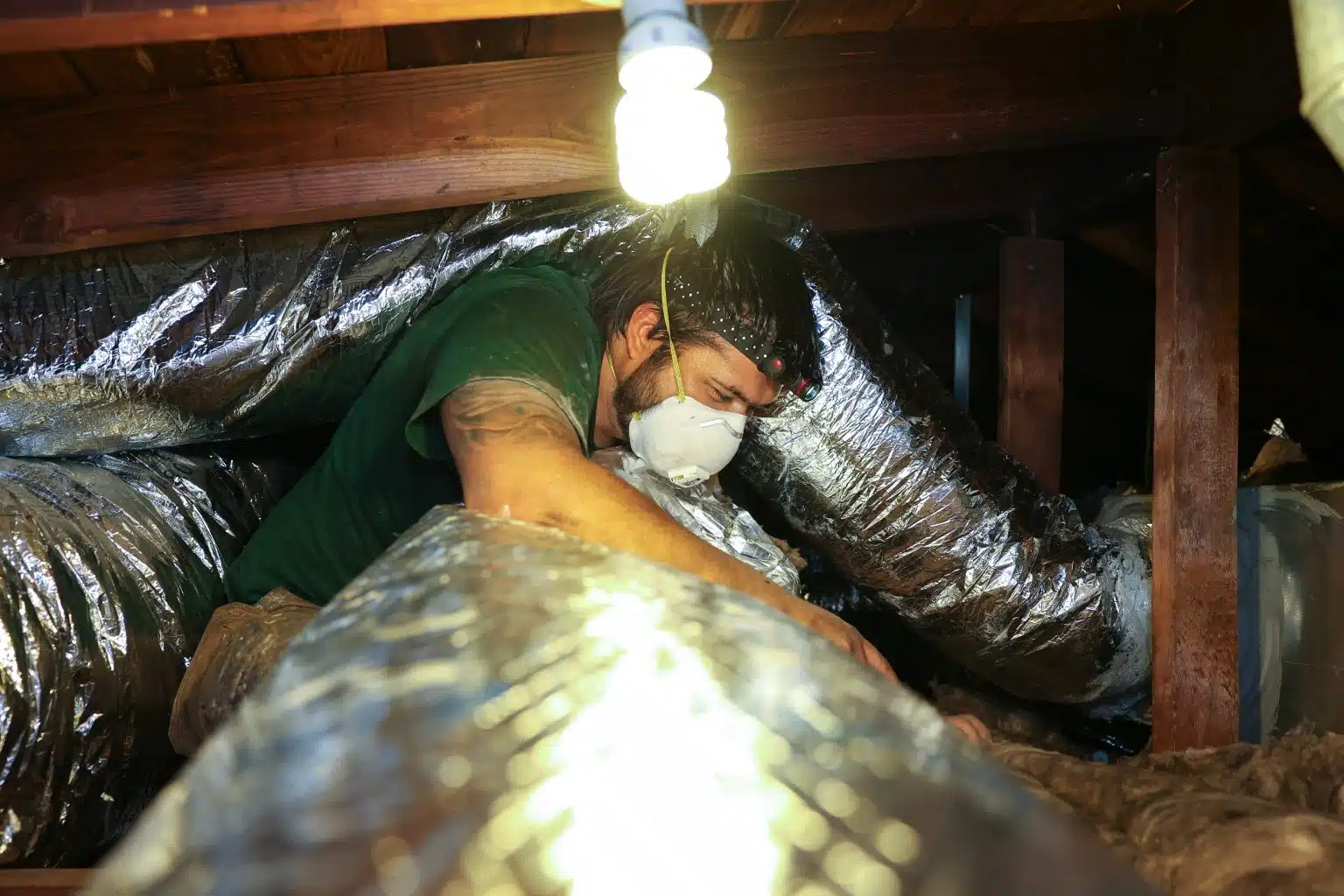 KS7A0365 4 1536x1024.jpg