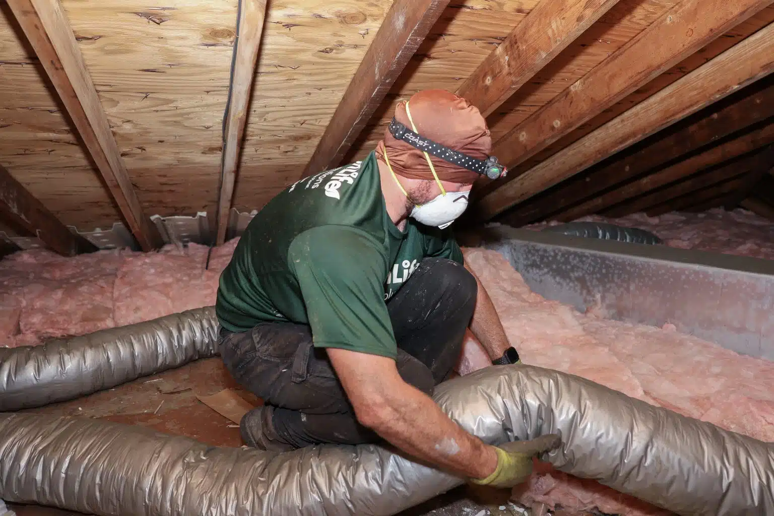 KS7A1488 1536x1024.jpg 1